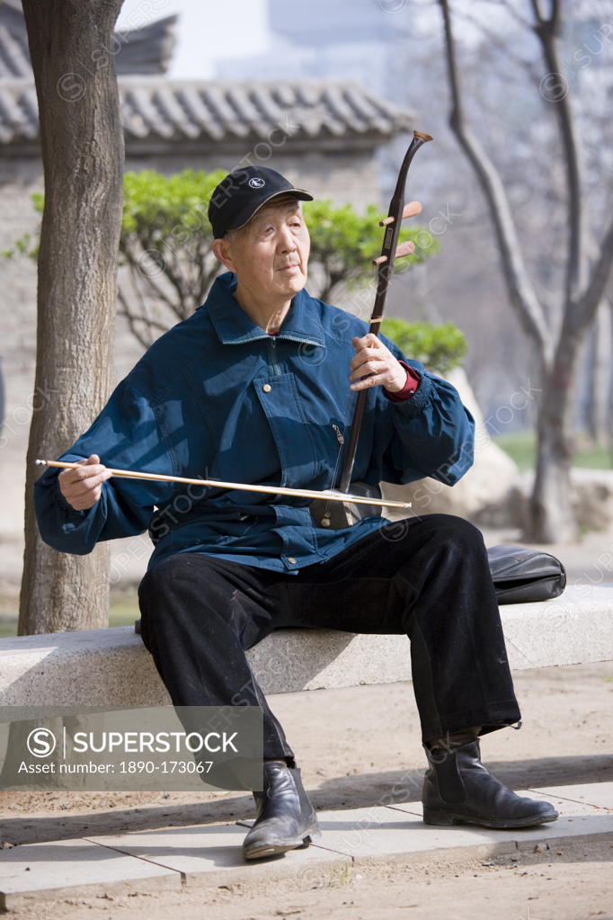 Man plays an Erhu instrument using a bow, in the park by the City Wall ...