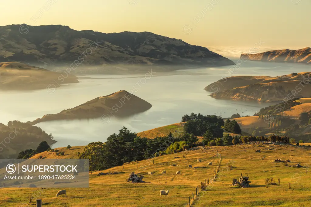 Banks Peninsula at sunrise, Canterbury, South Island, New Zealand, Pacific