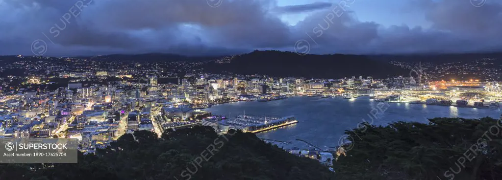 View from Mount Victoria to Wellington skyline, Wellington, North Island, New Zealand, Pacific