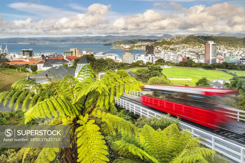 Cable Car, view over Wellington, North Island, New Zealand, Pacific