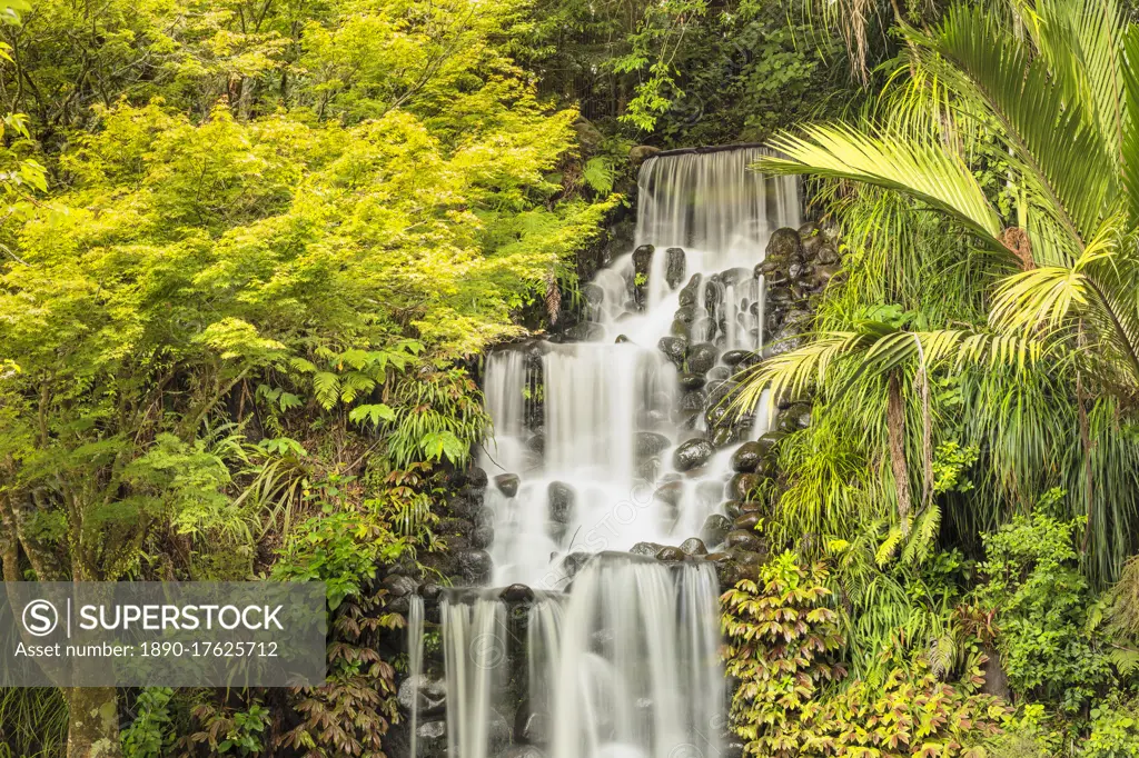 Waterfall in Pukekura Park, botanical garden, New Plymouth, Taranaki, North Island, New Zealand, Pacific