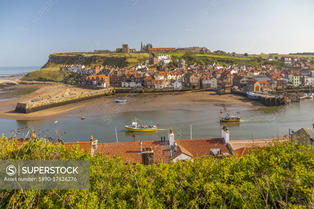 View of Whitby Abbey, St. Mary's Church and Esk riverside houses, Whitby, Yorkshire, England, United Kingdom, Europe