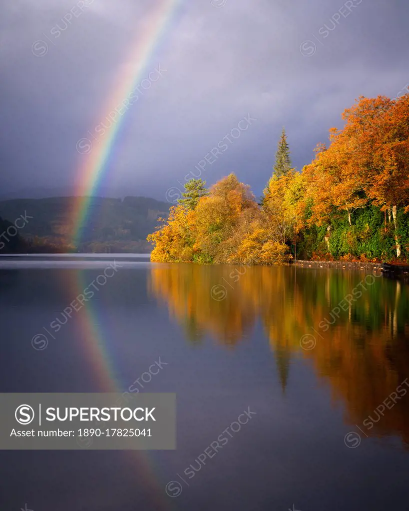 Autumn at Loch Ard, Trossachs, Scotland, United Kingdom, Europe