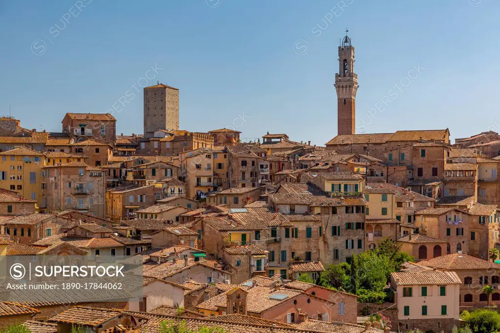 View of city skyline including Campanile of Palazzo Comunale, Siena, Tuscany, Italy, Europe