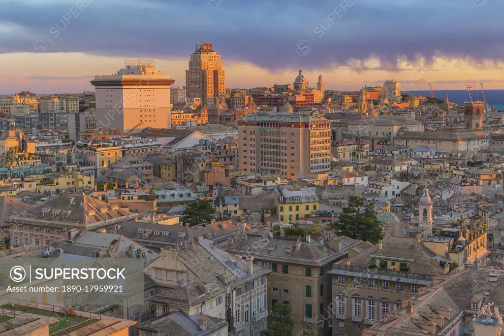 Cityscape, top view, Genoa, Liguria, Italy, Europe