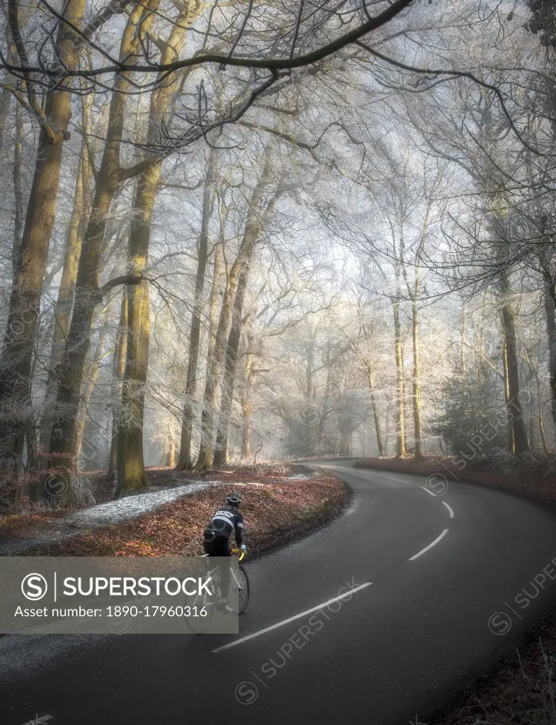 A lone cyclist climbs Tom's Hill in Hertfordshire, England, United Kingdom, Europe