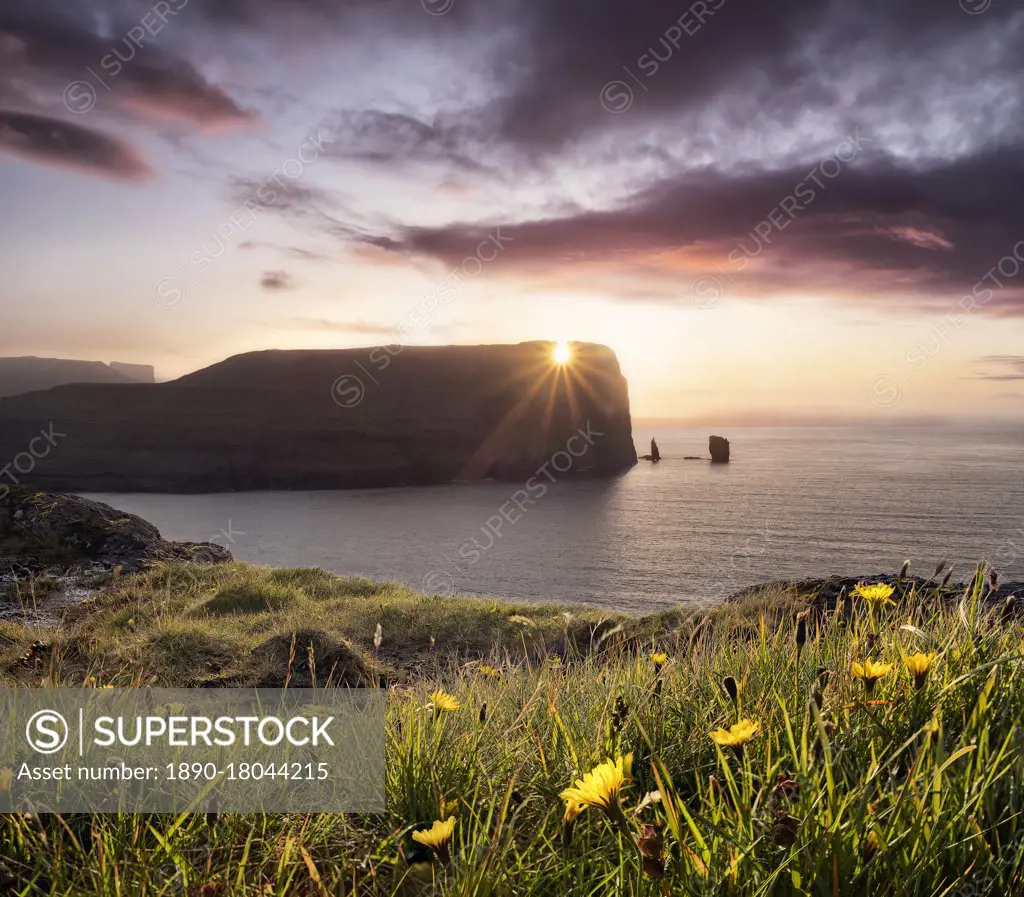 Sunset view on Rising og Kellingin sea stacks with yellow flowers in the foreground, Faroe Islands, Denmark, Europe