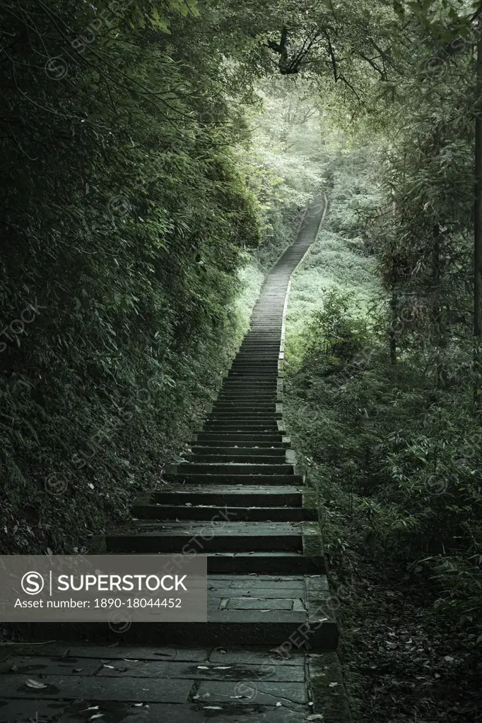 The endless stairs to ascend Mount Emei, Emeishan, Sichuan, China, Asia