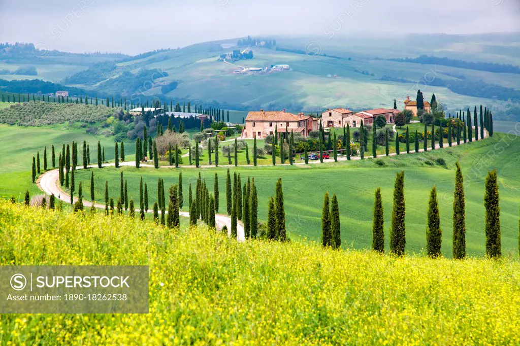 Farmhouse in green summer landscape near Crete Senesi, Tuscany, Italy, Europe