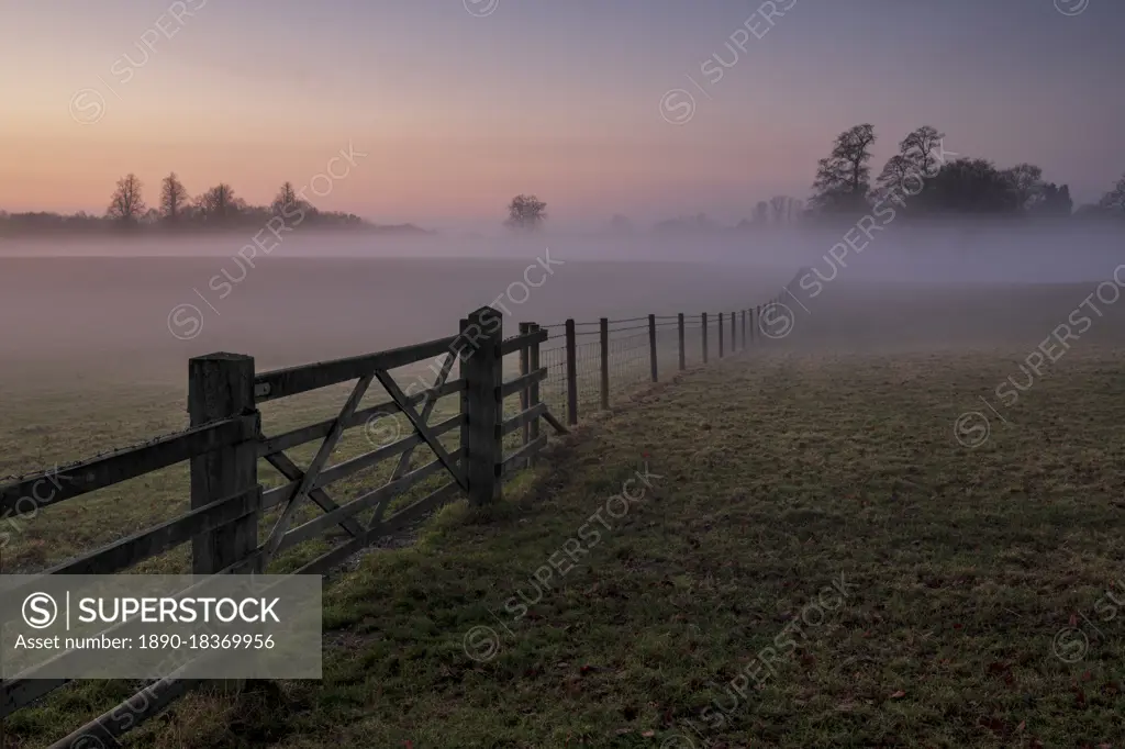 Gated field filled with mist at sunset, Chelford, Cheshire, England, United Kingdom, Europe