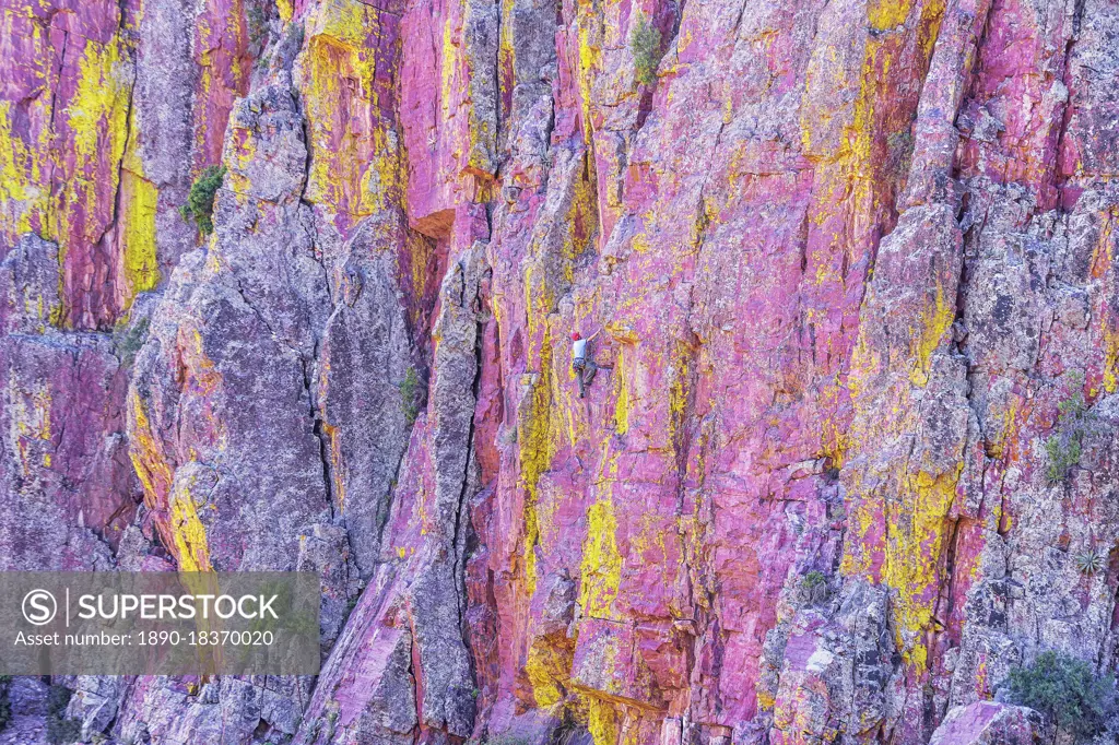 Man rock climbing, Coconino National Forest, Arizona, United States of America, North America