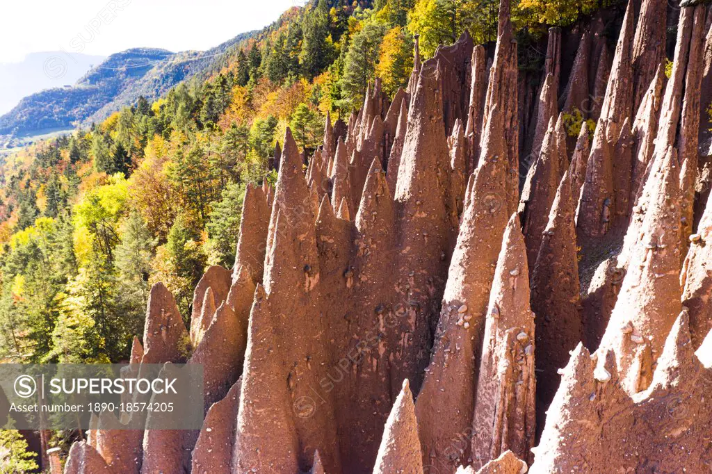 Spiked rocks of the earth pyramids in autumn, Longomoso, Renon (Ritten), Bolzano, South Tyrol, Italy, Europe