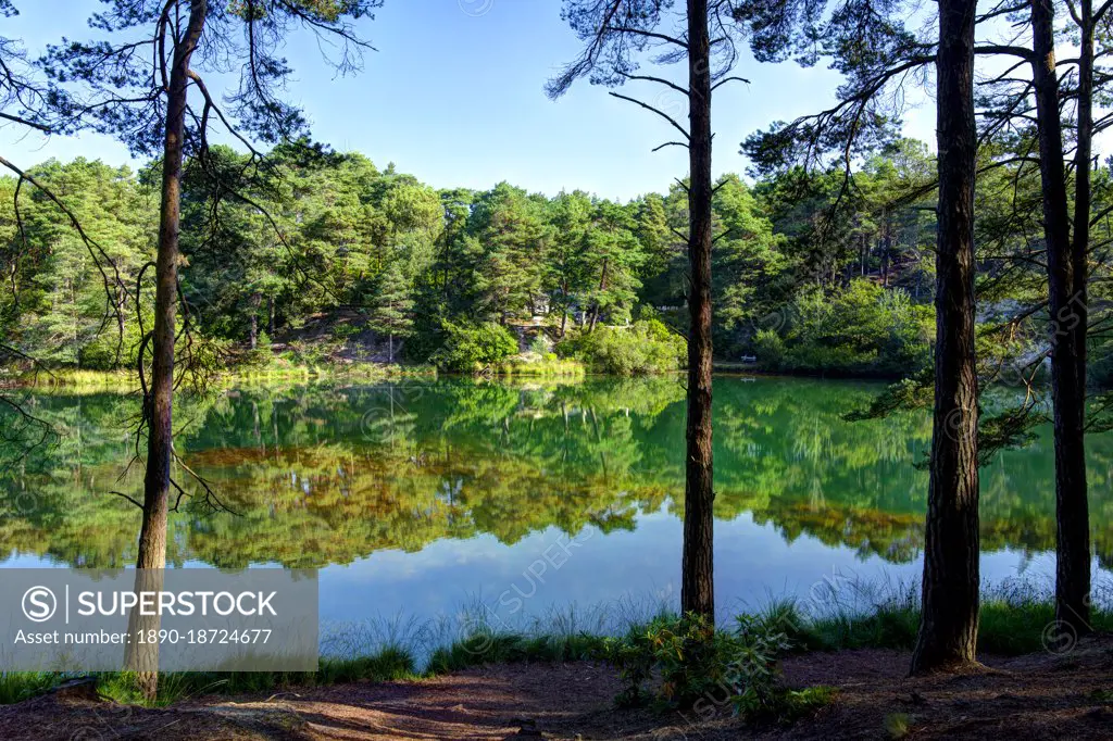 The Blue Pool Nature Reserve, Furzebrook Estate, Wareham, Dorset, England, United Kingdom, Europe