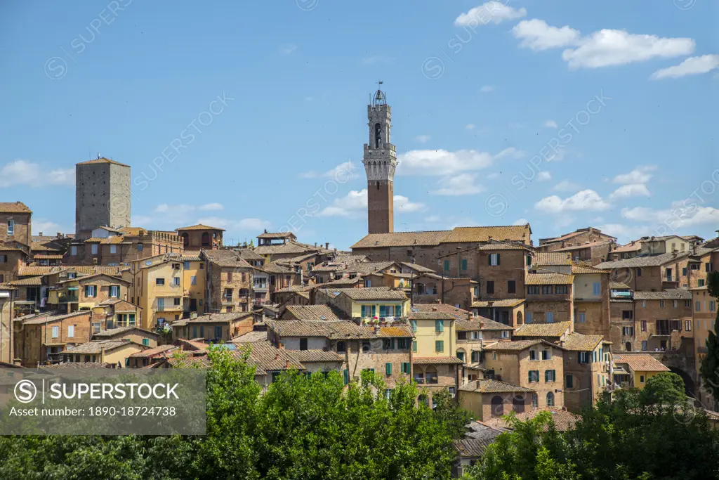 Siena, Tuscany, Italy, Europe