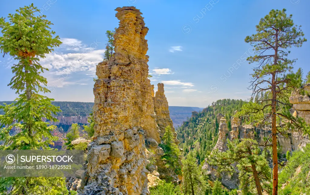 Large rock spires on the cliff of Transept Canyon along the Widforss Trail at Grand Canyon North Rim, UNESCO World Heritage Site, Arizona, United States of America, North America