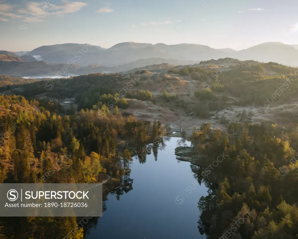 Aerial view over Tarn Hows at dawn, Lake District National Park, UNESCO World Heritage Site, Cumbria, England, United Kingdom, Europe