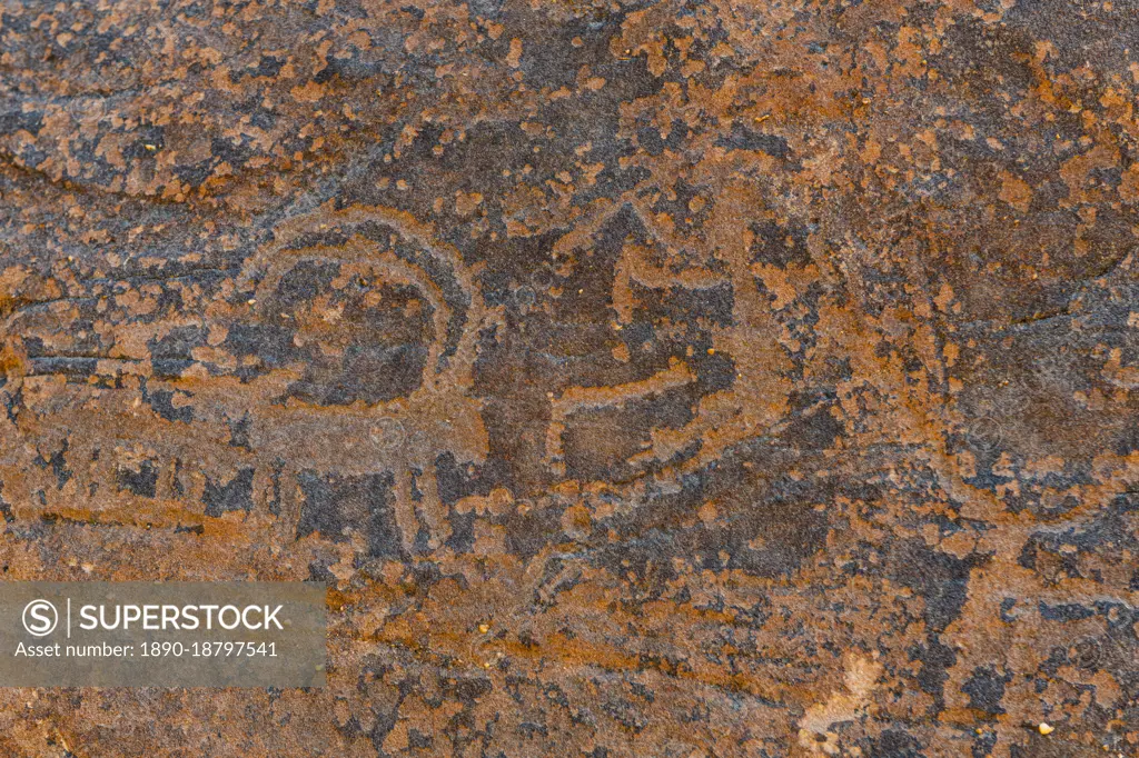 Rock Art in the Ha'il Region, UNESCO World Heritage Site, Jubbah, Kingdom of Saudi Arabia, Middle East