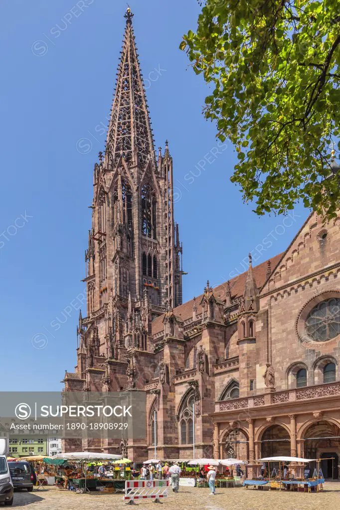 Market on Munsterplatz Square, Cathedral, Freiburg, Black Forest, Baden-Wurttemberg, Germany, Europe