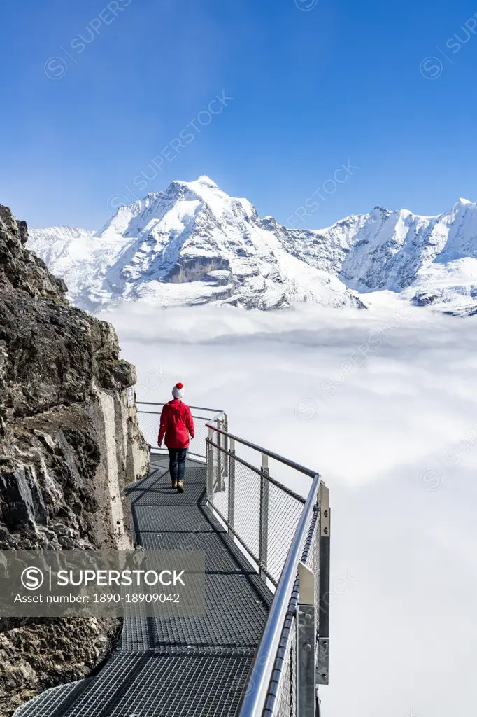 Woman admiring Jungfrau mountain in the fog from the Thrill Walk panoramic walkway, Murren Birg, Bern Canton, Swiss Alps, Switzerland, Europe