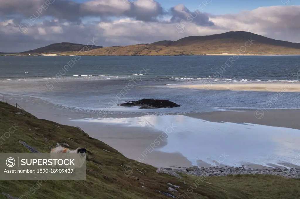 The Island of Taransay viewed across Seilebost Beach, Isle of Harris, Outer Hebrides, Scotland, United Kingdom, Europe