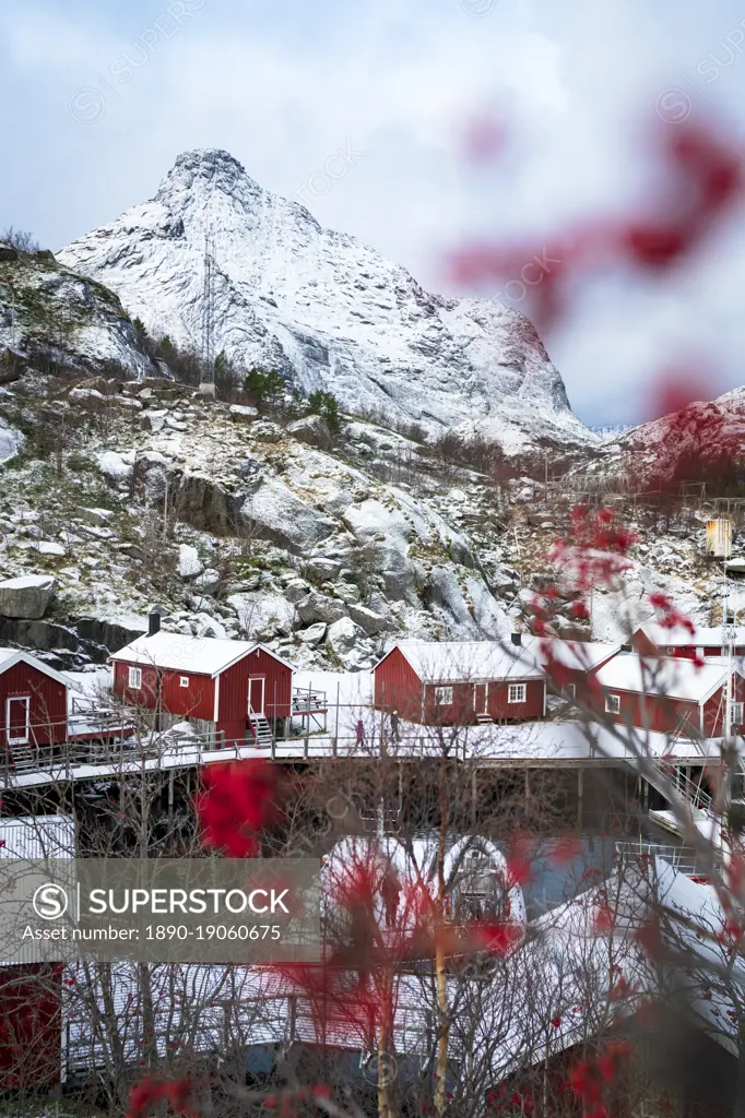 Red Rorbu cabins framed by snowcapped mountains in winter, Nusfjord, Nordland county, Lofoten Islands, Norway