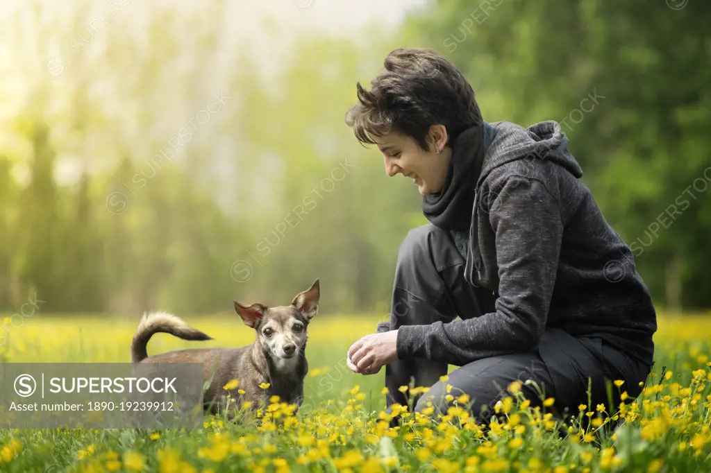 Small dog and his owner crouched in a field full of yellow flowers, Italy, Europe
