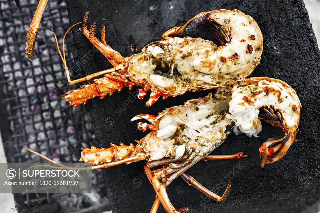 Grilled lobsters on barbecue, Antigua, Leeward Islands, West Indies, Caribbean, Central America
