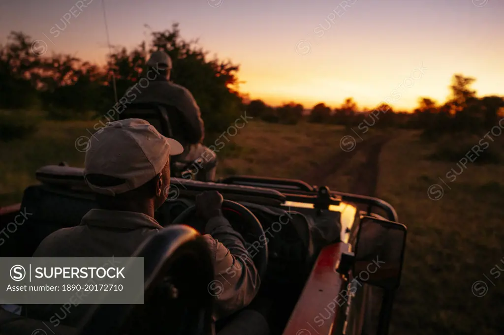 Safari drive in Timbavati Private Nature Reserve, Kruger National Park, South Africa, Africa