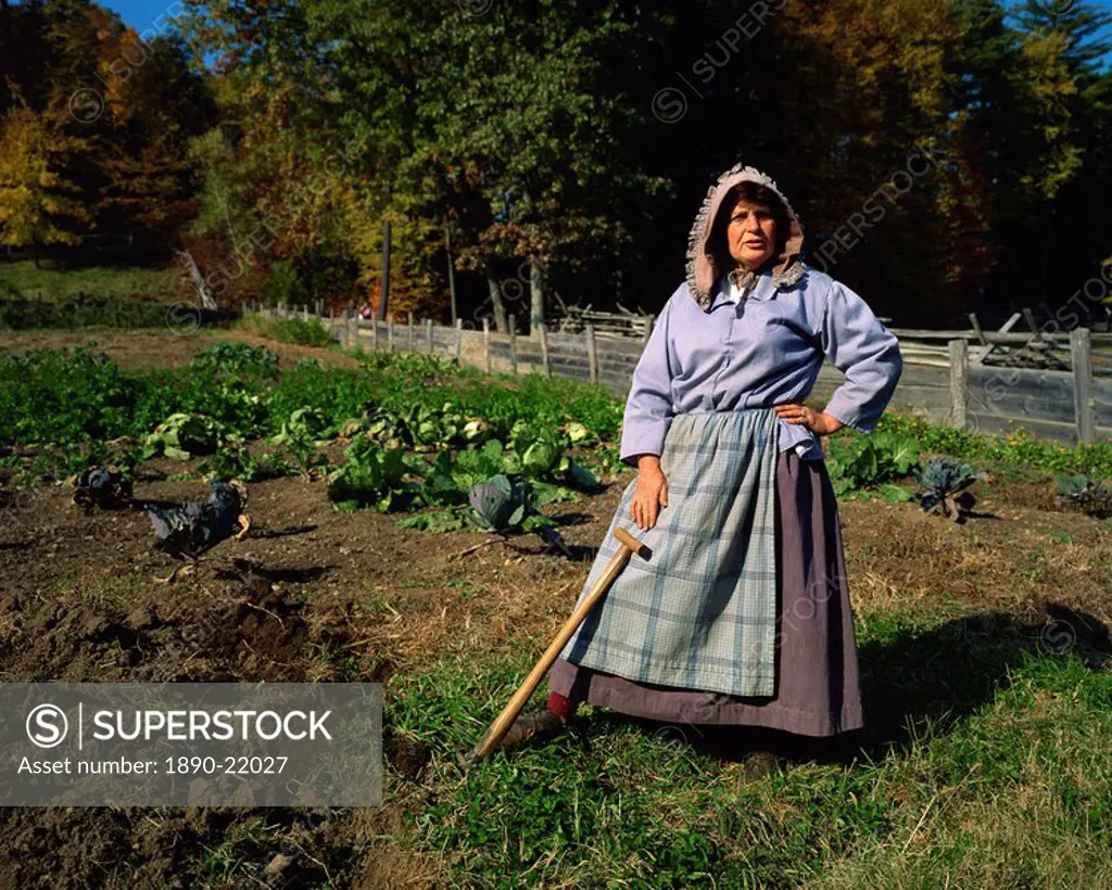 Hoeing the vegetable garden, recreated New England village life between 1790 and 1840, Old Sturbridge Village, Massachusetts, New England, United Stat...