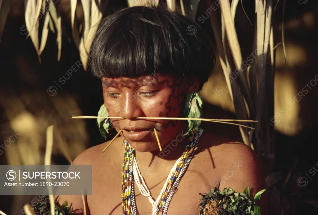 Portrait of a Yanomami woman with nose sticks and facial decoration in Brazil, South America