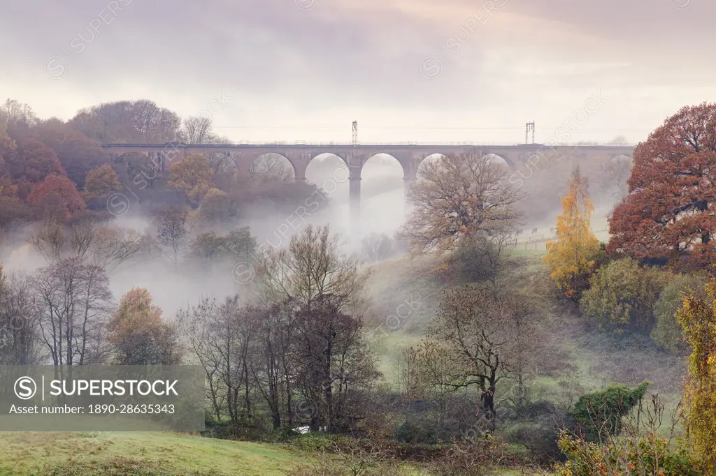 Morning mist swirling among the autumn coloured trees and railway viaduct at Dane-In-Shaw Pasture, Cheshire, England, United Kingdom, Europe