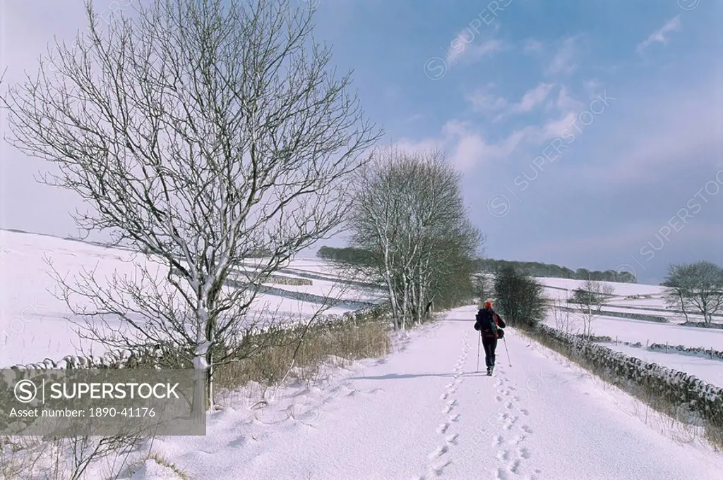 Footprints in snow, Hartington, Tissington Trail, Derbyshire, England, United Kingdom, Europe