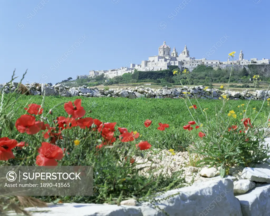 Mdina, the Silent city, Malta, Europe