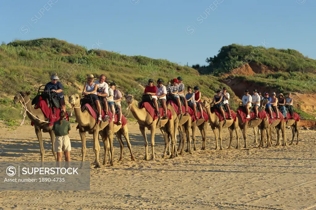 Camel rides, Cable Beach, Broome, Kimberley, Western Australia, Australia, Pacific