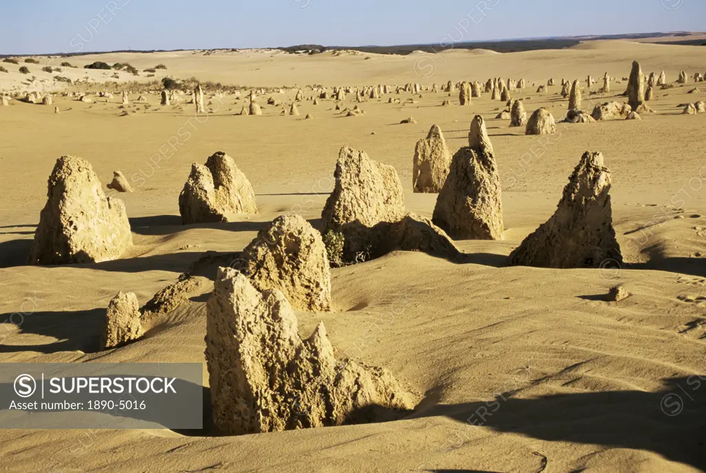 Pinnacles Desert, Nambung National Park, Western Australia, Australia, Pacific