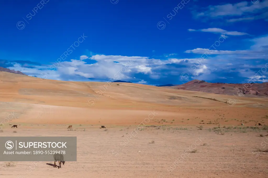 Peruvian landscape, Peru, South America