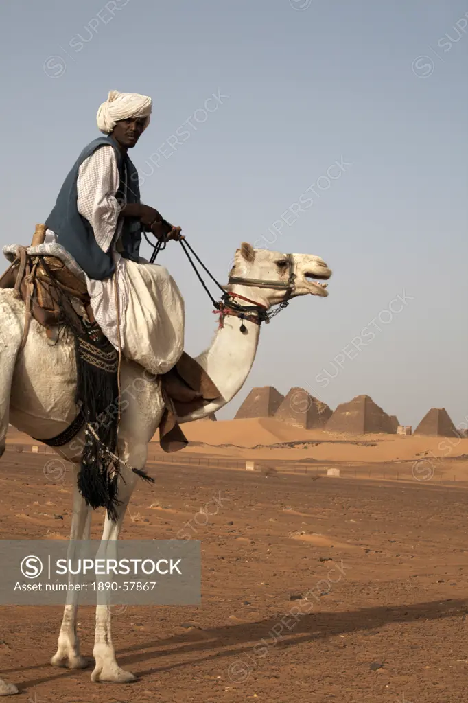 A guide and camel stand in front of the pyramids of Meroe, Sudan´s most popular tourist attraction, Bagrawiyah, Sudan, Africa