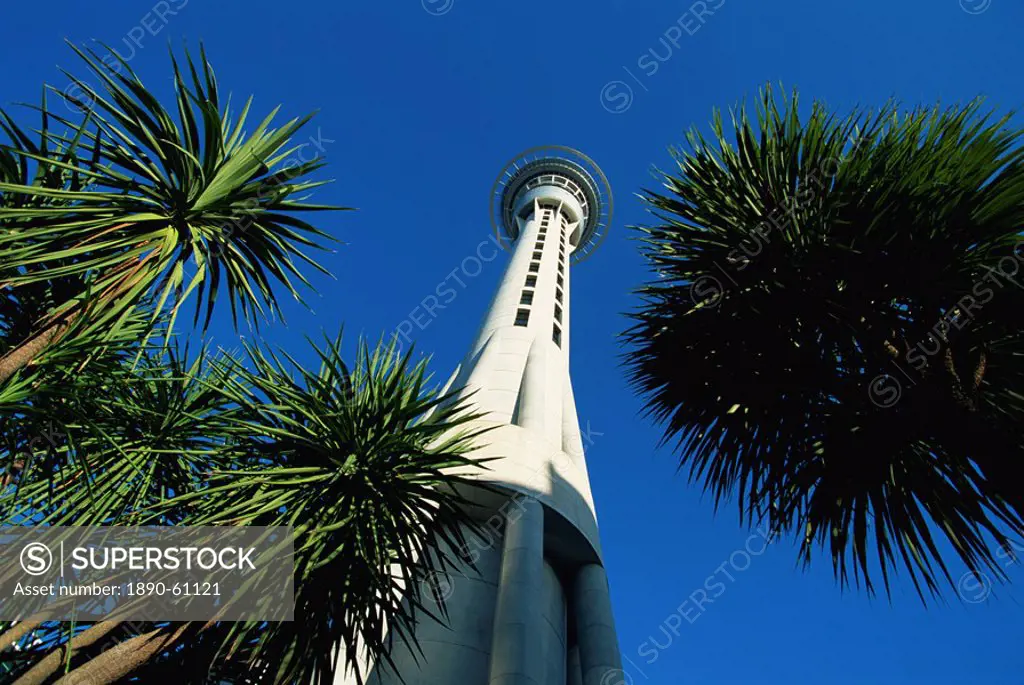 The Sky City Tower, Auckland, North Island, New Zealand, Pacific