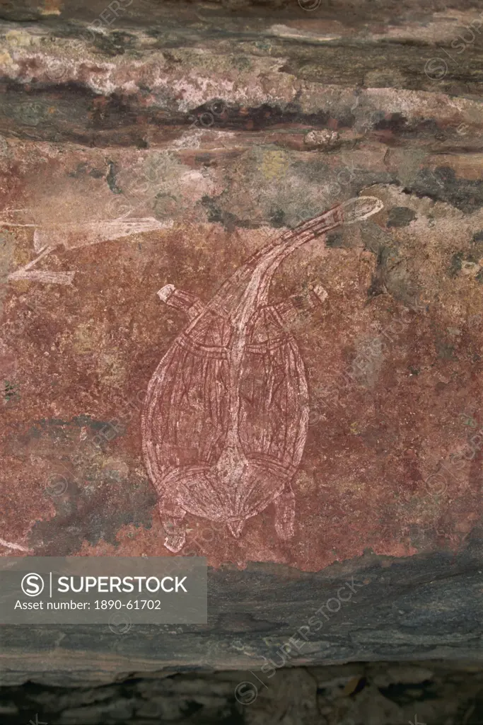 Painting of a turtle at the Aboriginal rock art site at Ubirr Rock, Kakadu National Park, where paintings date from 20000 years old to present day, UN...