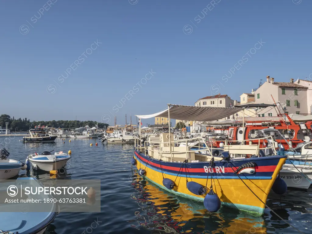 Colourful boat in the harbour, Rovinj, Istria, Croatia, Europe