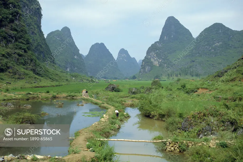 In Guilin, irrigation channel among rice paddies in area of limestone towers, Yangshuo, Guangxi Province, China