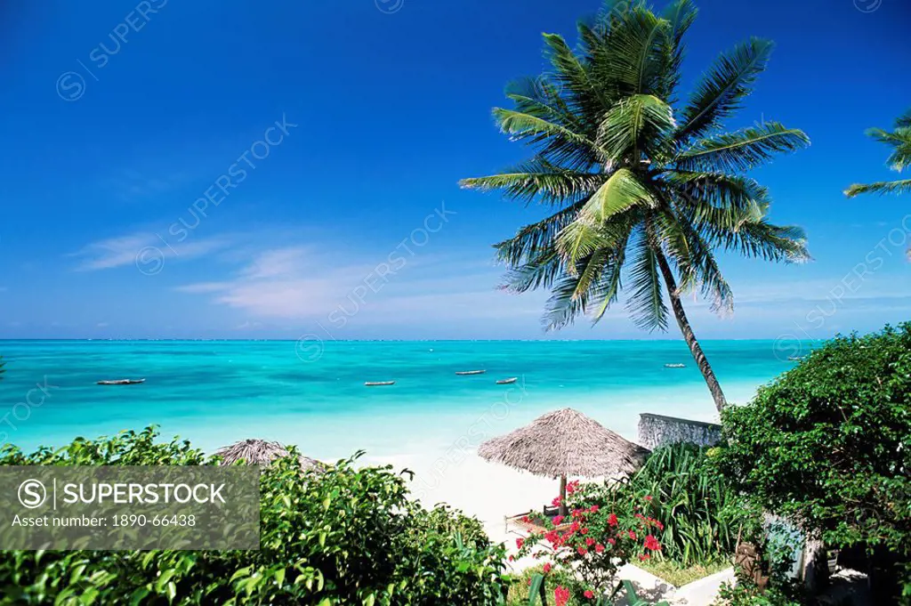 View through palm trees towards beach and Indian Ocean, Jambiani, island of Zanzibar, Tanzania, East Africa, Africa