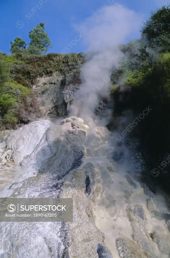 Diamond Geyser, thermal area, Orakei Korako, South Auckland, North Island, New Zealand, Pacific