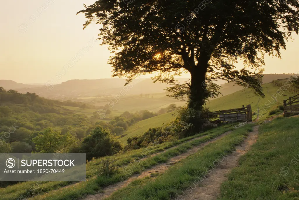 Countryside near Sidmouth, Devon, UK