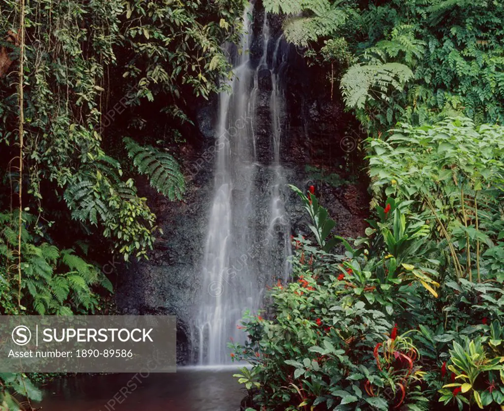 Waterfall in Botanic Garden in Tahiti, Society Islands, French Polynesia, Pacific