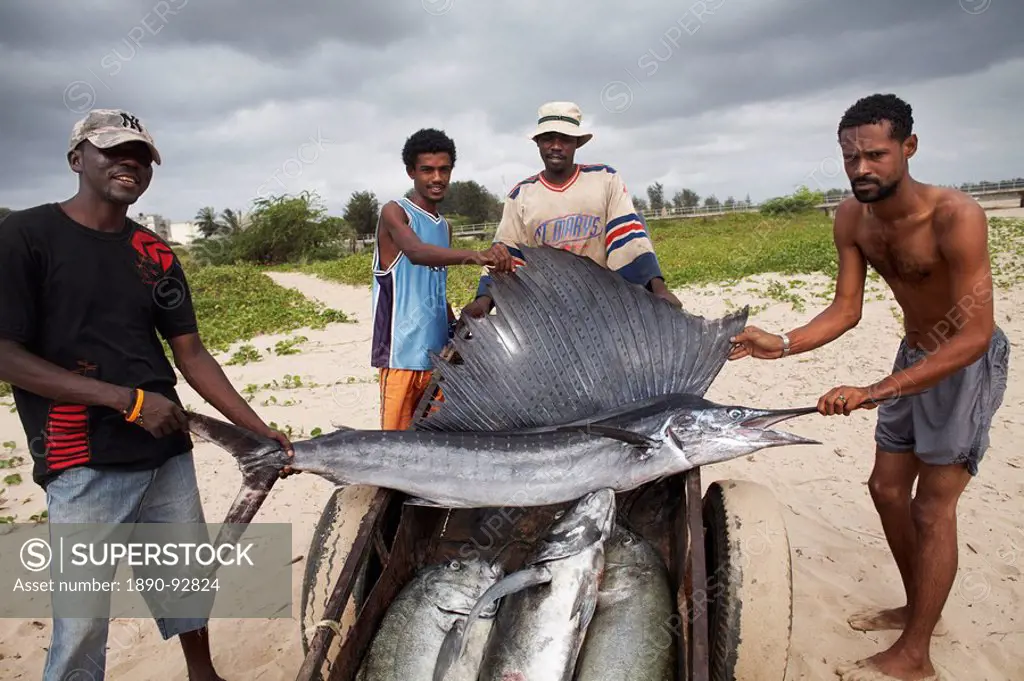 Fishermen with their catch, Malindi, Kenya, East Africa, Africa