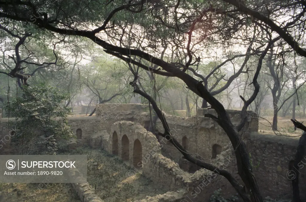 The Mehrauli Archaeological Park, Lado Sarai, Delhi, India, Asia