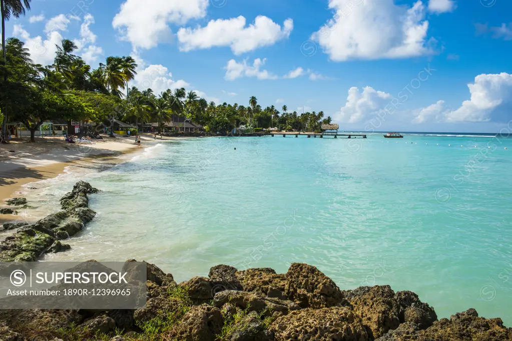 Sandy beach and palm trees of Pigeon Point, Tobago, Trinidad and Tobago, West Indies, Caribbean, Central America