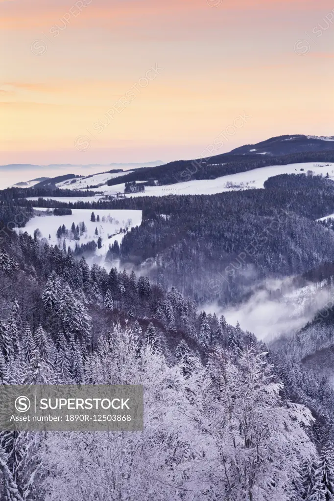 View from Black Forest Highway to Glottertal Tal Valley at sunset, Black Forest, Baden-Wurttemberg, Germany, Europe