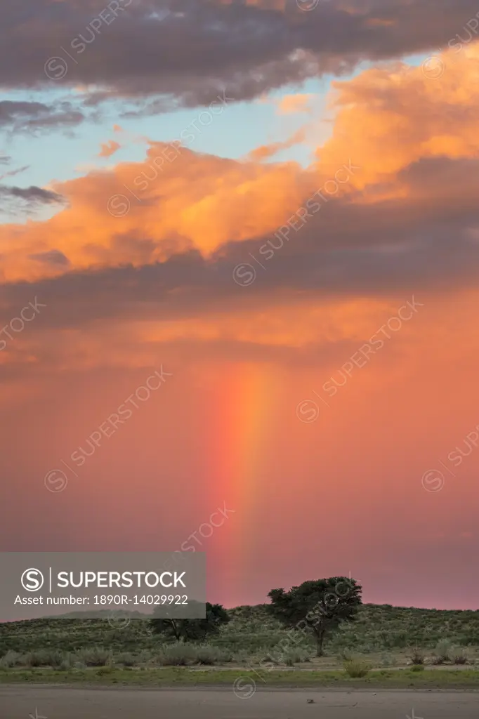 Sunset and storm over Kgalagadi Transfrontier Park, Northern Cape, South Africa, Africa